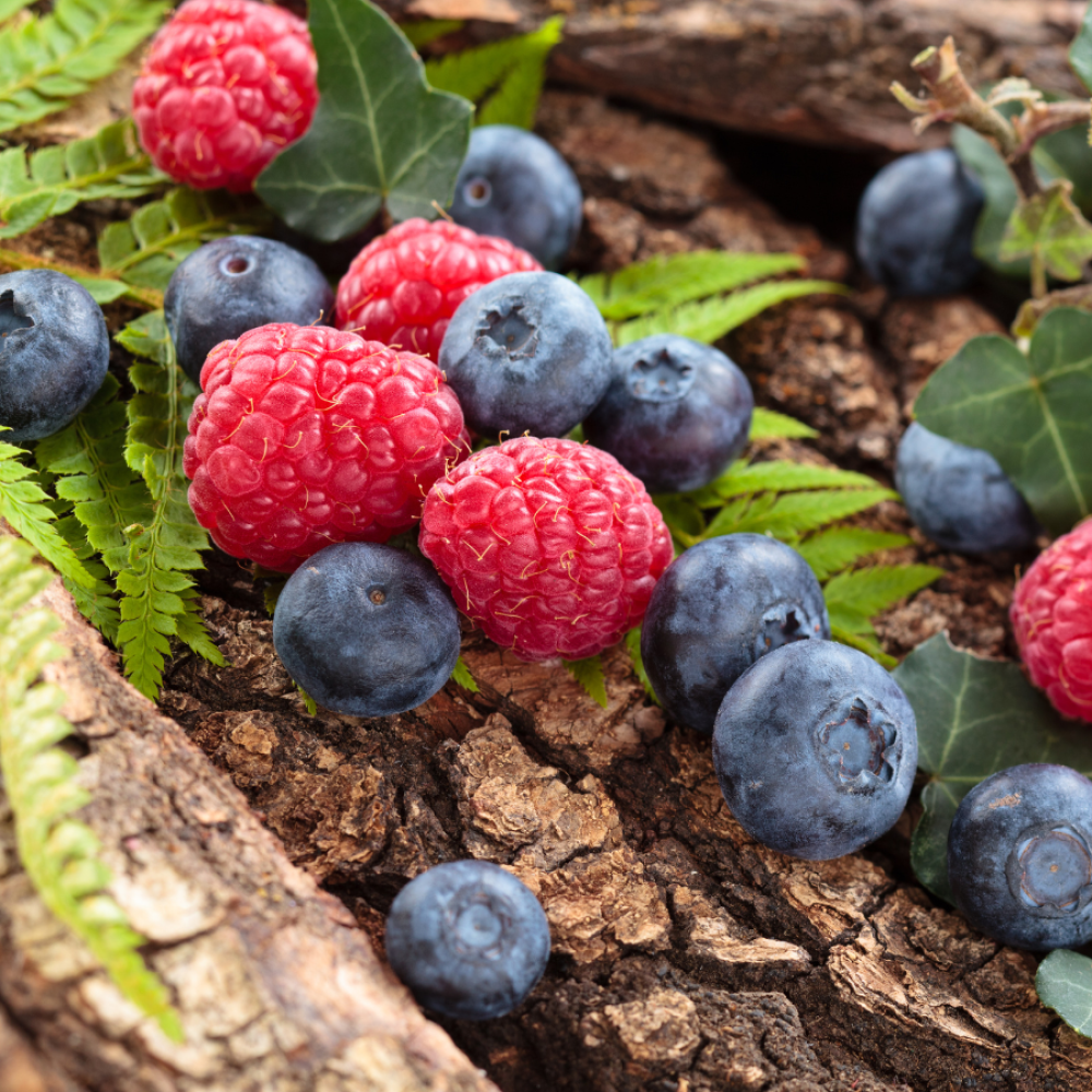 Premium Forest Fruits  Mixed Tea 100 gm gallery image
